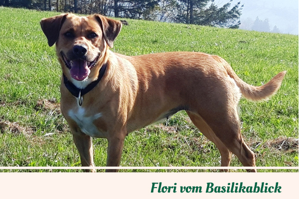 Flori vom Basilikablick