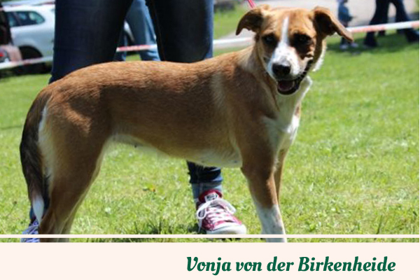 Vonja von der Birkenheide