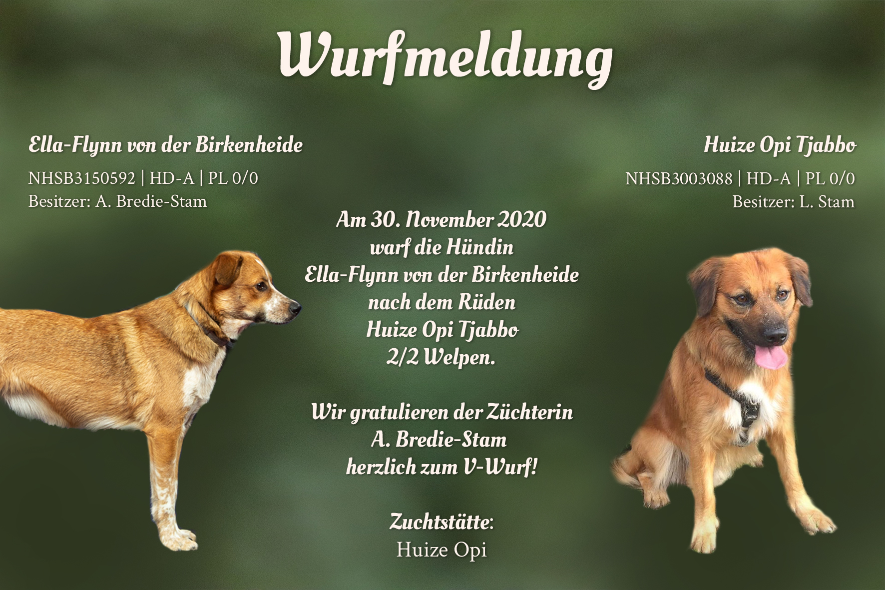 Wurfmeldung_Huize Opi