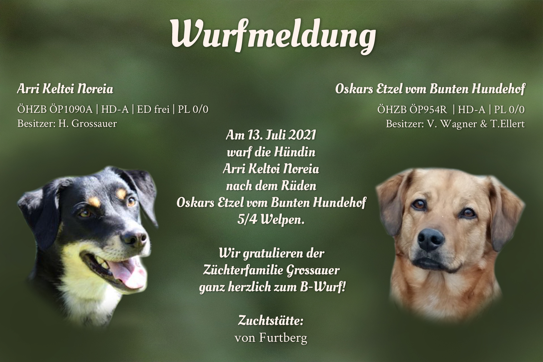 Wurfmeldung B-Wurf Furtberg