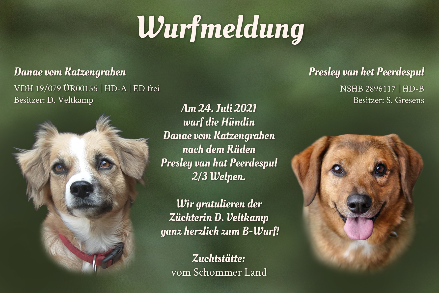 Wurfmeldung B-Wurf Schommer Land