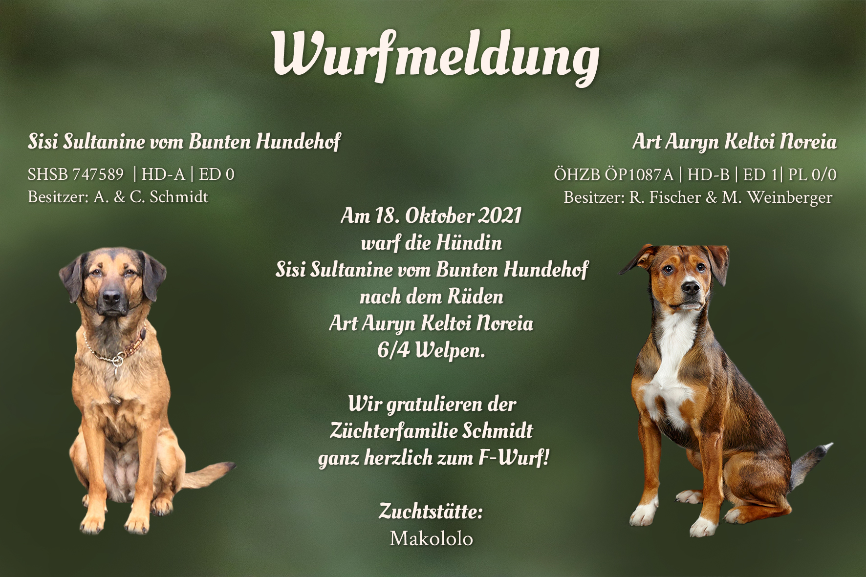 Wurfkmeldung F-Wurf Makololo CH