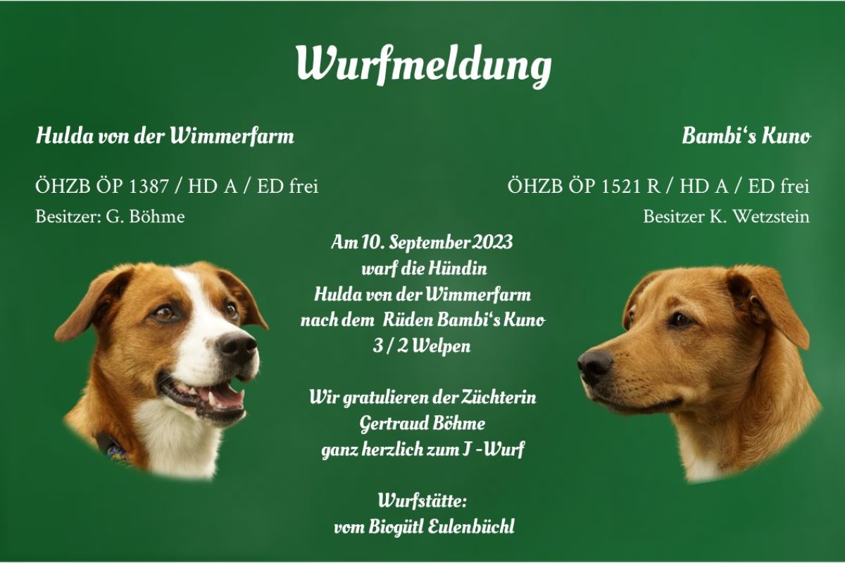 Wurfmeldung J-Wurf Biogütl Eulenbüchl (1)