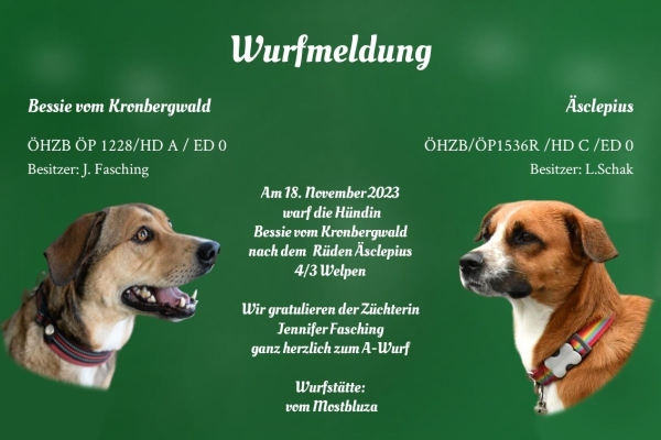 Wurfmeldung A-Wurf Mostbluza