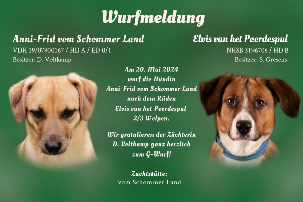 Wurfmeldung G-Wurf Schommer Land DE