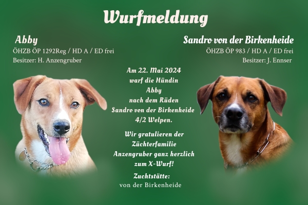 Wurfmeldung X-Wurf Birkenheide