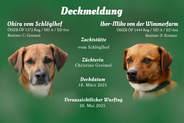 Q-Wurf vom Schlöglhof