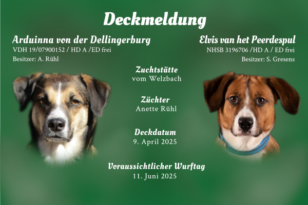 B-Wurf vom Welzbach