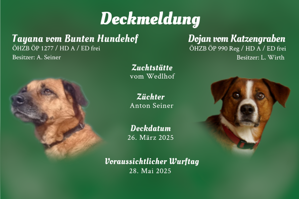 D-Wurf vom Wedlhof