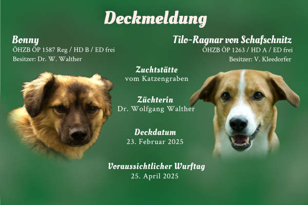 F-Wurf vom Katzengraben