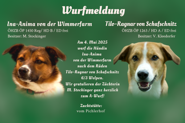 Wurfmeldung A-Wurf vom Pichlerhof